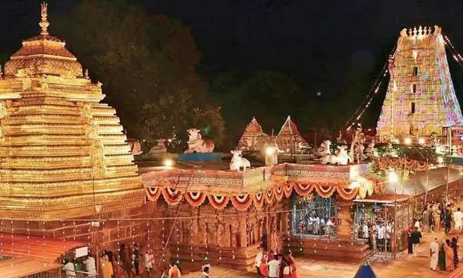 Swarna Rathotsavam Celebrated in Srisailam