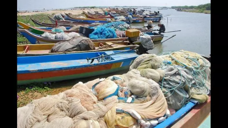 Sri Lanka Urges India to Prevent Illegal Fishing in Its Waters