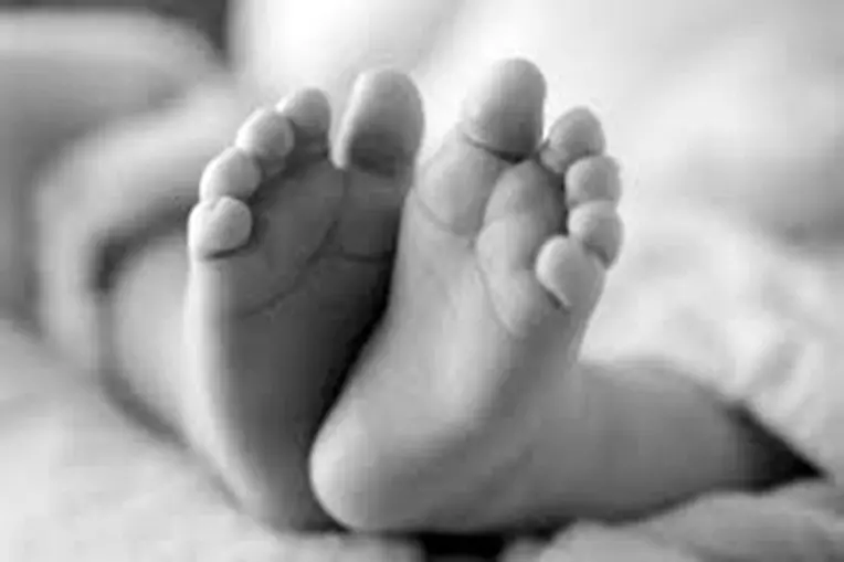 7-month-old foetus found in garbage bin in Mumbai