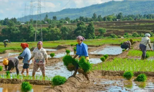 Farmers not happy with budget proposals for agriculture