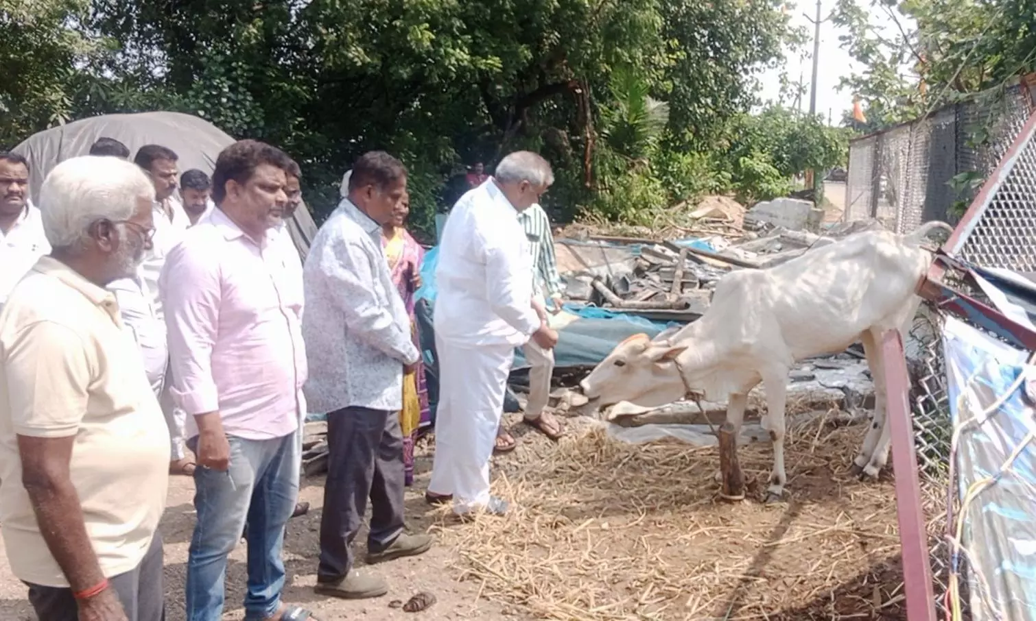 Andhra Pradesh: YSRC MLA Condemns Demolition of Goshala