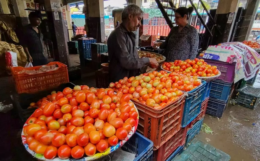 Kurnool District Farmers Hit Hard by Drop in Tomato Prices