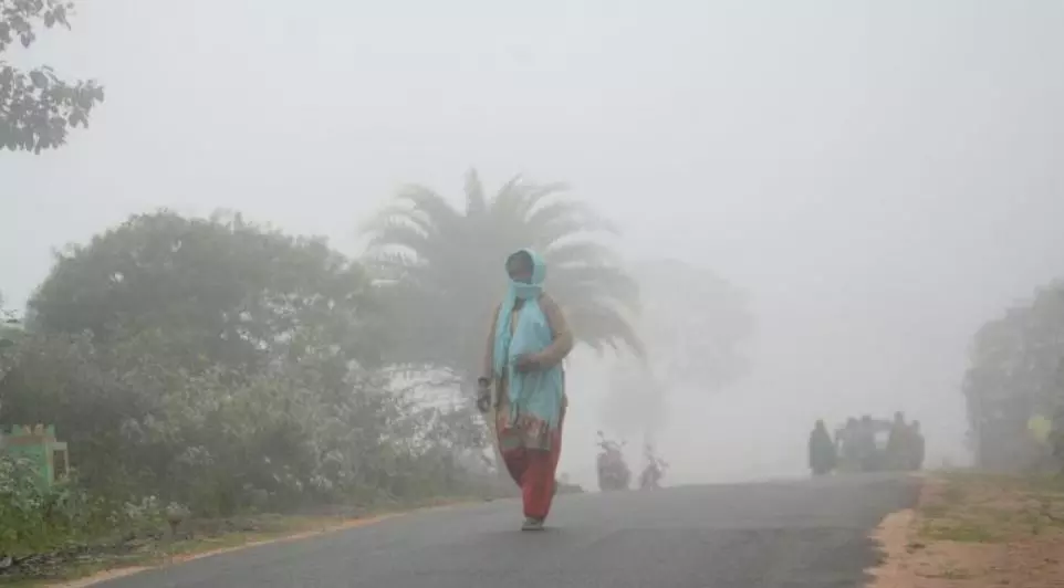 Persistent rains not deterring tourists from flocking to N Andhra