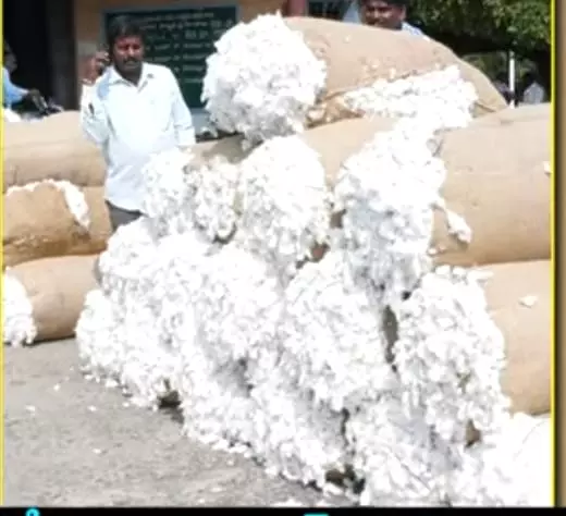 Warangal Cotton Market Hits Record Procurement of 9.38 Lakh Quintals