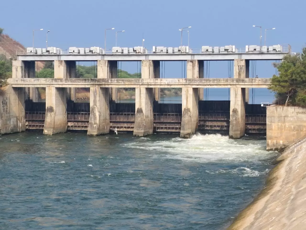 Sriramsagar Project Water Released to Flood Flow Canal, Farmers Happy