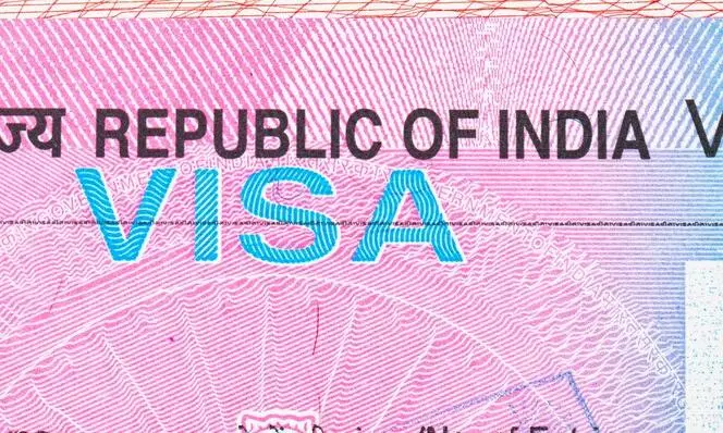 Govt launches 2 special categories visas for international students