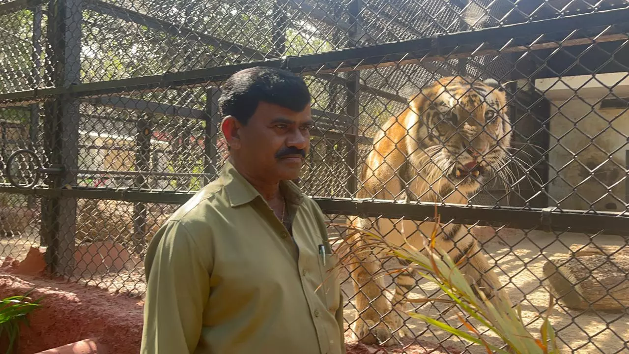 Caretakers at zoo narrate their ‘beyond love’ emotional chord with inmates