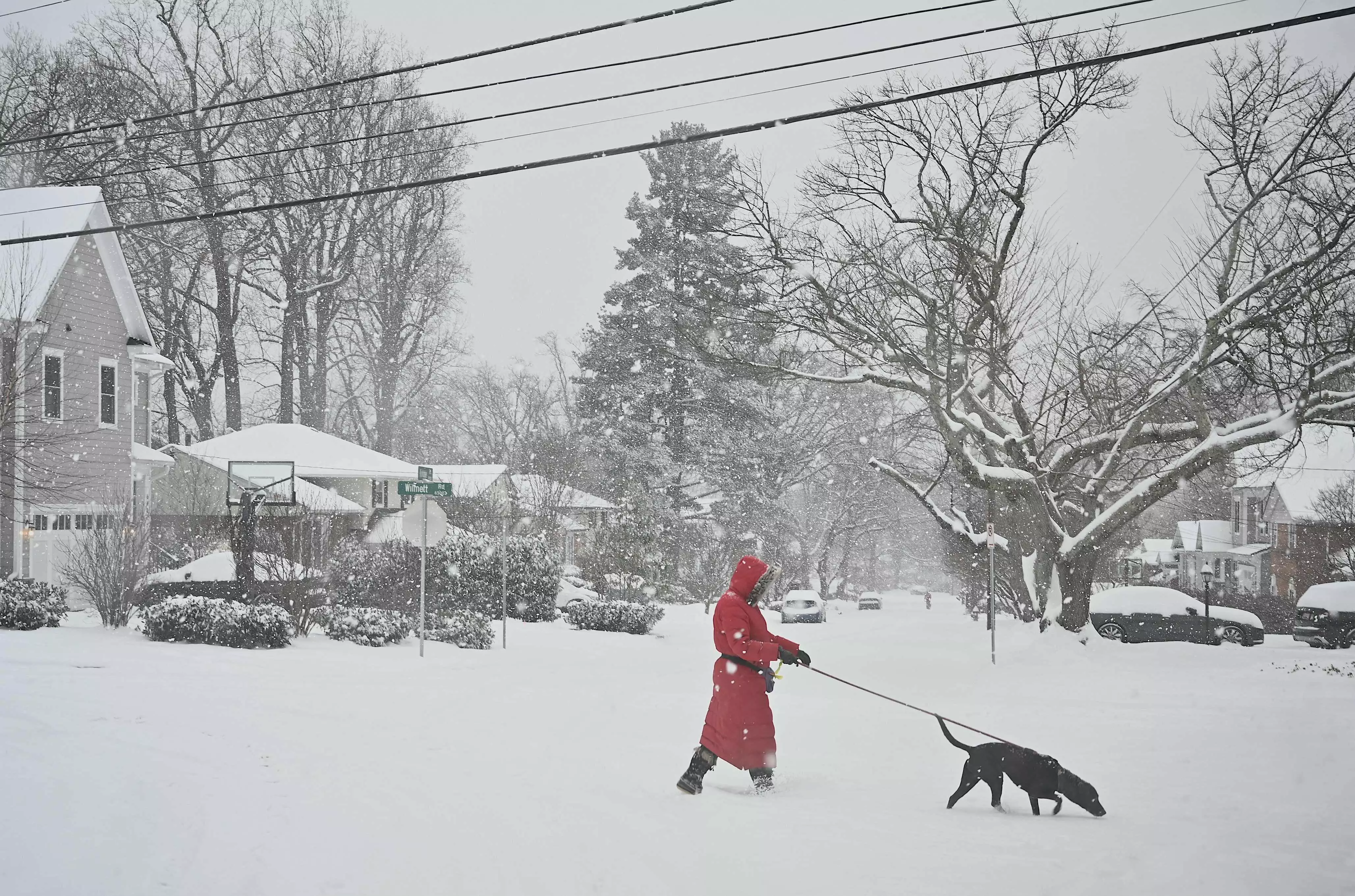 Polar Vortex Grips US: Ice, Snow, and Wind Cause Chaos Across the Nation