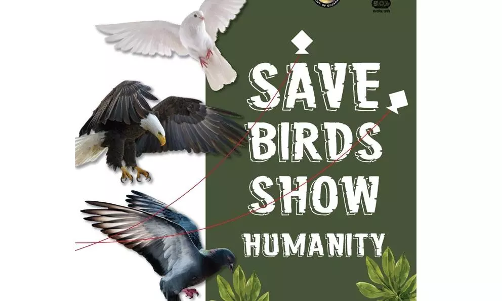 NGO Rescues Birds Injured by Kite Threads