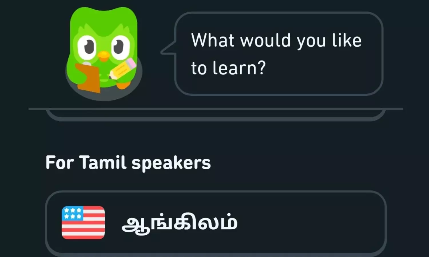 Duolingo Unveils ‘Learn English from Tamil’ Course to Empower Tamil Nadu Learners