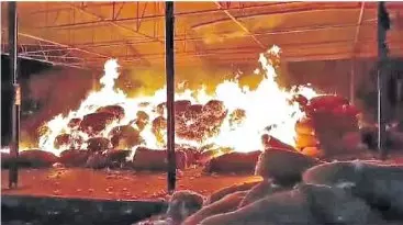 Fire Accident in Khammam Market Guts 800 Cotton Sacks Worth Rs 30 Lakh