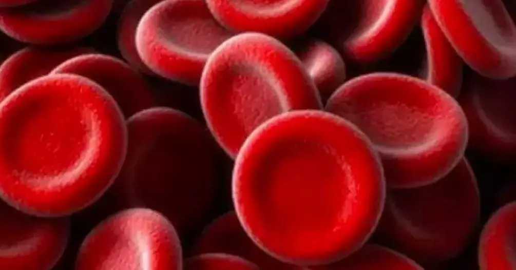 Anaemia crisis looming in Kurnool, Nandyal regions