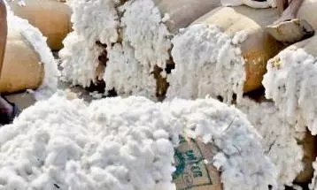 Rs.8.80 crore worth cotton destroyed in Adoni fire