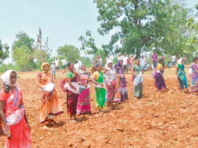 Adivasi Face Double Whammy over Maoist Links, Ganja Smuggling