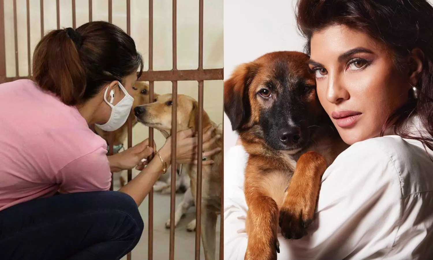 These Heartwarming Pictures Are Prove Jacqueliene's Love for Animals