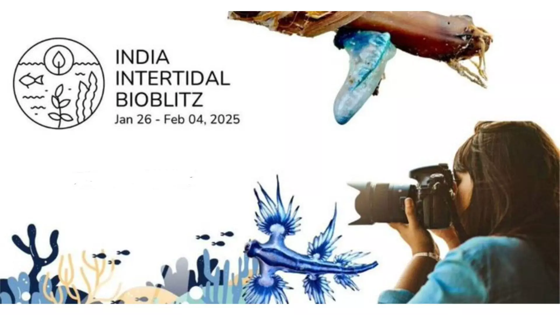 Marine Bioblitz invites Vizag's nature enthusiasts