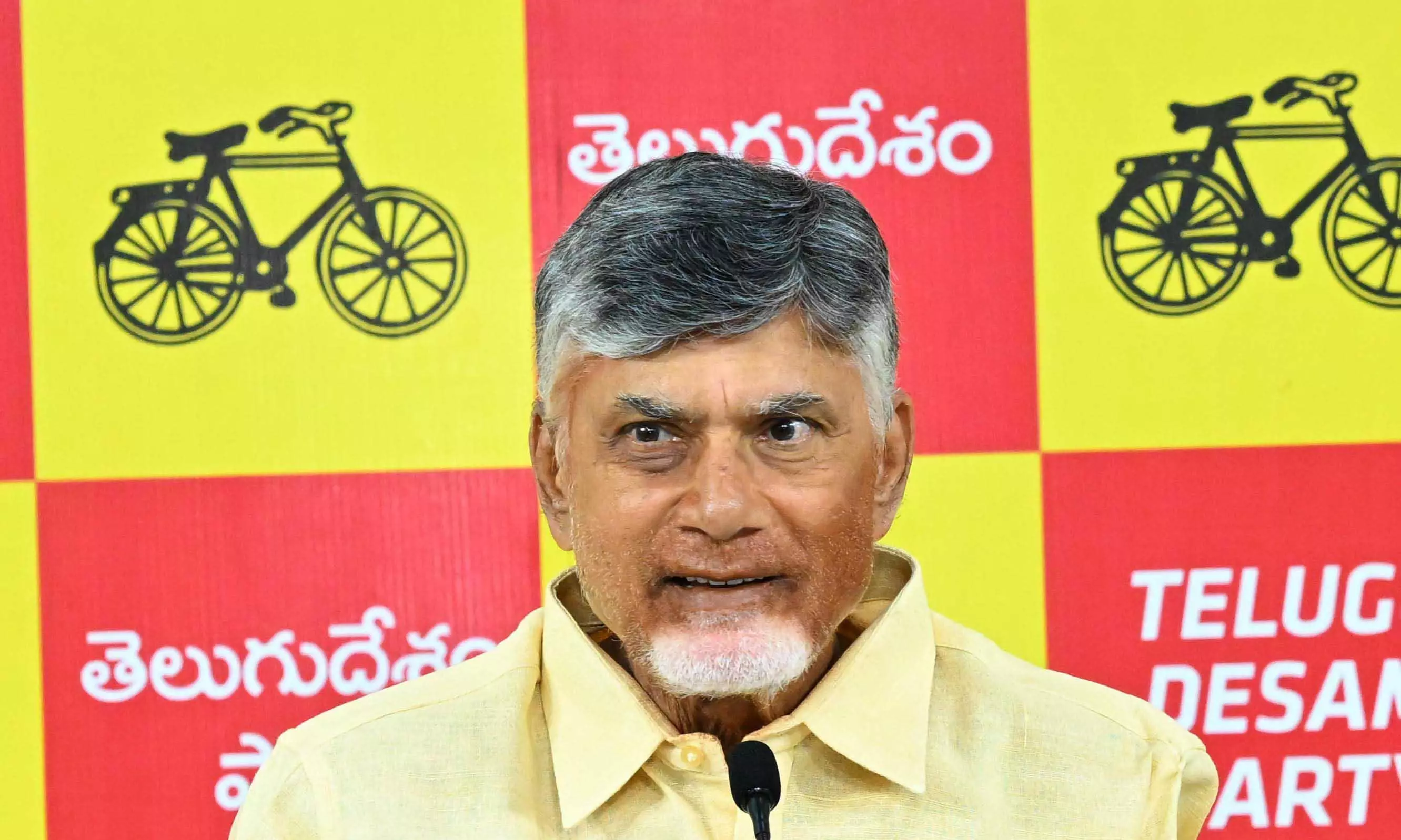 Naidu to Campaign for BJP in Delhi Polls