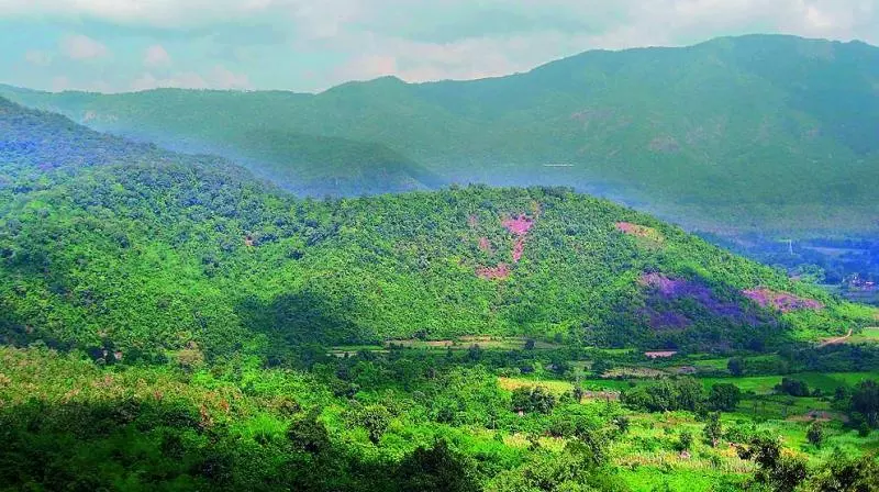 Araku Valley preparing for three-day Chali festival