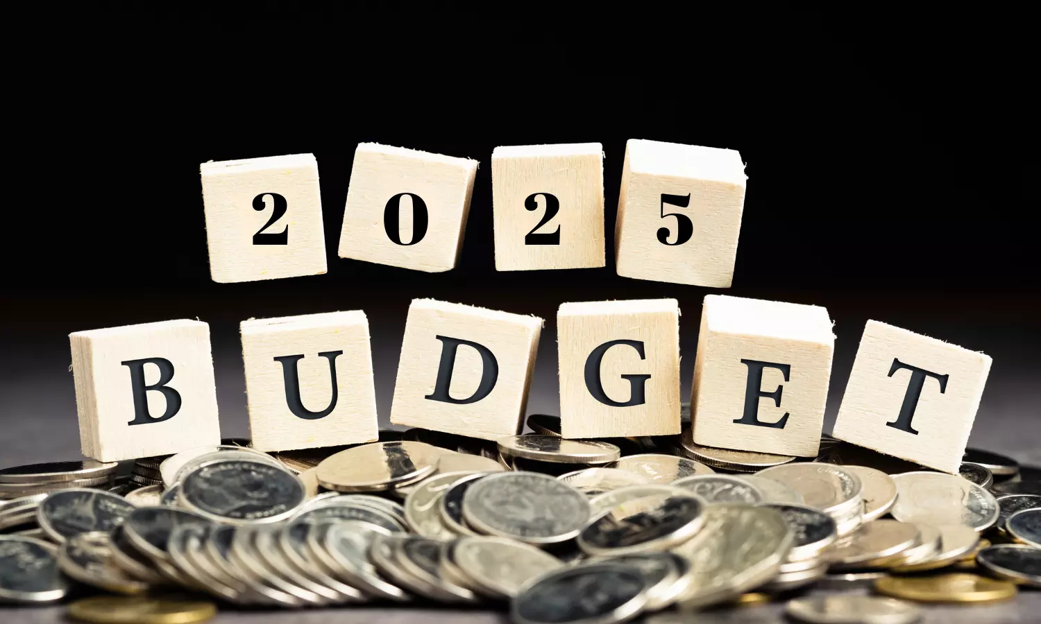 Industry Leaders React to Union Budget 2025