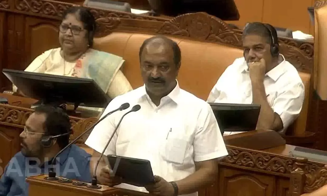 Kerala Budget 2025: Rs 750 Crore Rehabilitation Project For Wayanad Landslides Victims