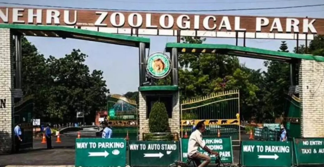 Zoo vet hurt by Gaur out of danger, has severe bruises