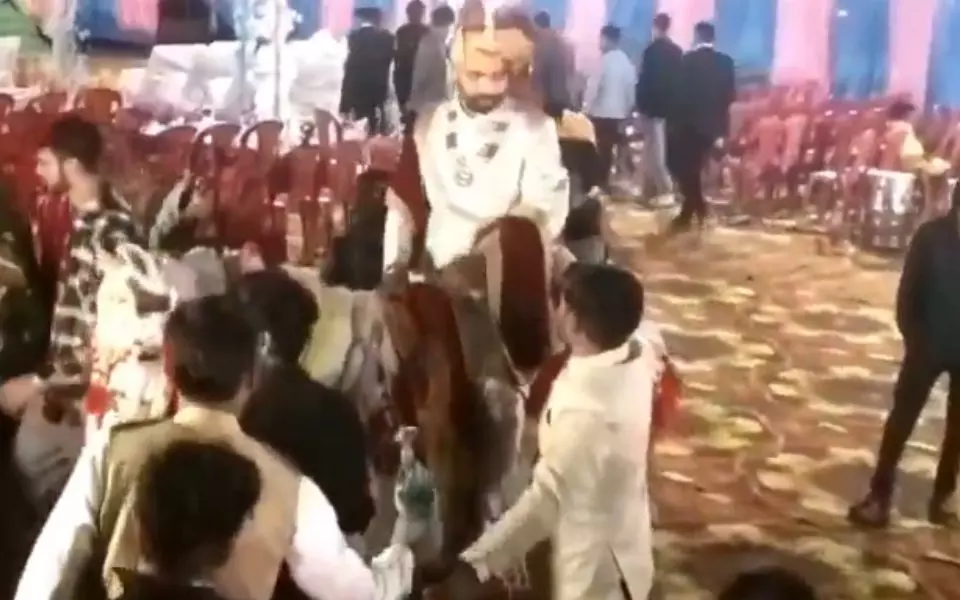 MP: Groom dies of cardiac arrest while going to bride’s place for marriage on horse