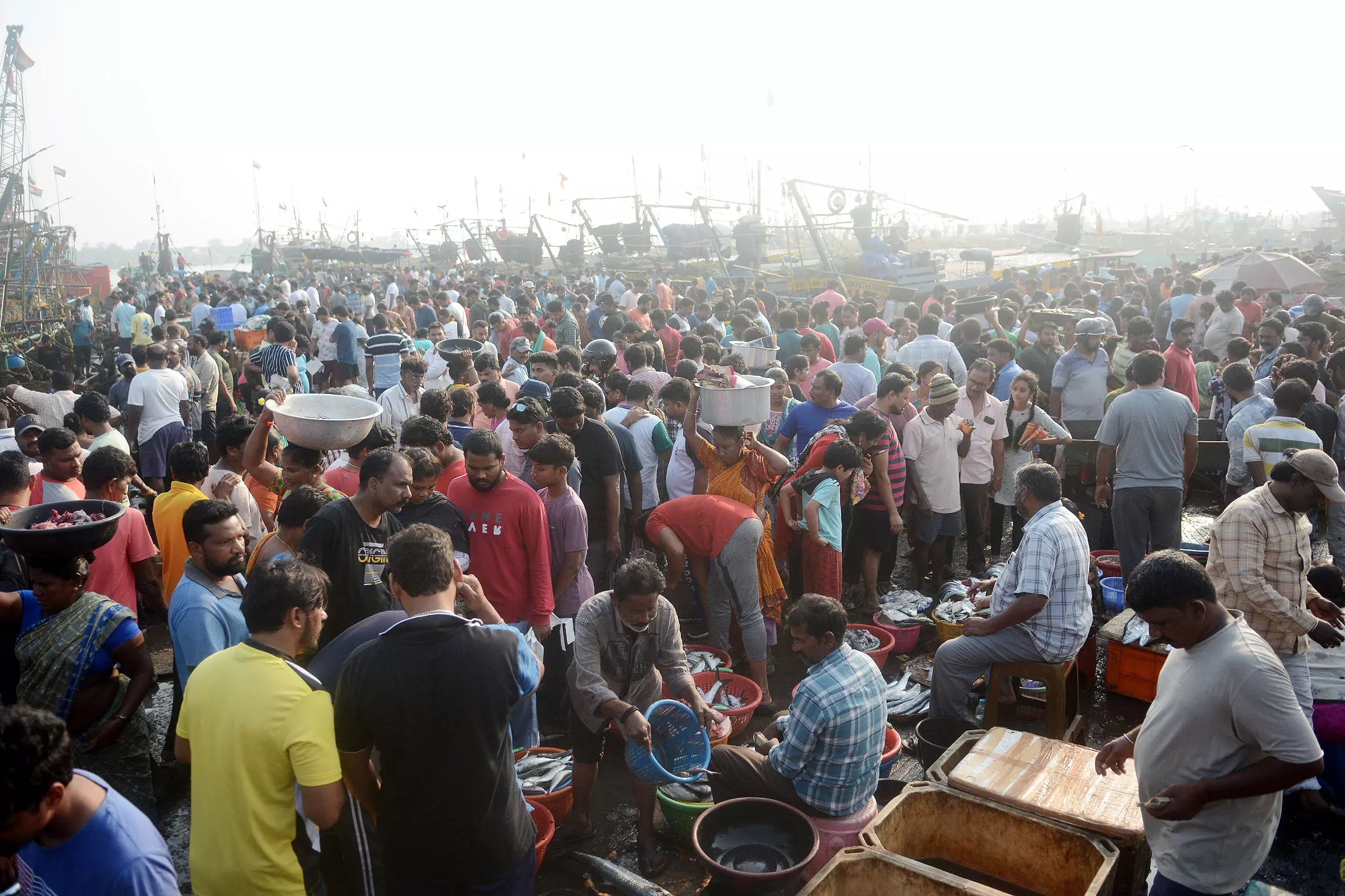 Bumper 150 tonnes of fish sold at Vizag fishing harbour on Sunday