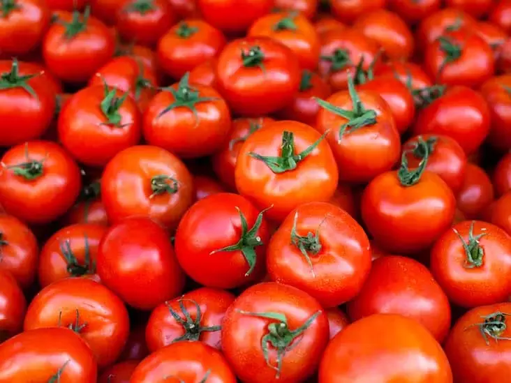 Tomato Prices Plunge to Rs 4 per Kg in Kurnool