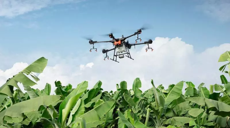 U.S. team observes natural farming innovations in Eluru