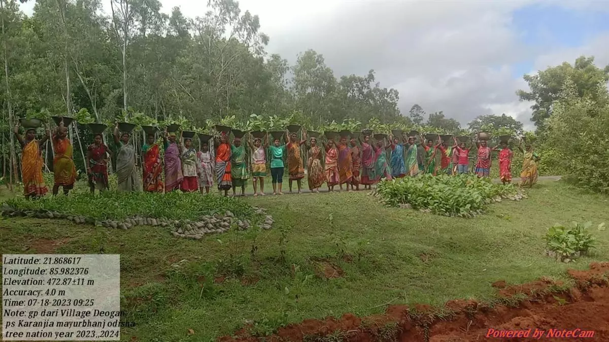 National Wildlife Day: Over 2 lakh trees to be planted this year to enhance the habitat of black tigers in Odisha