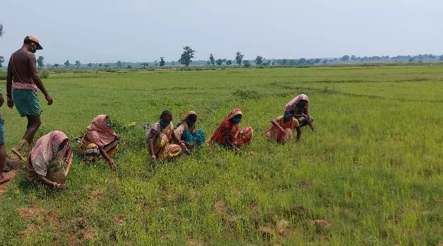 Over 34.98 lakh odisha farmers benefit from PM-KISAN Scheme