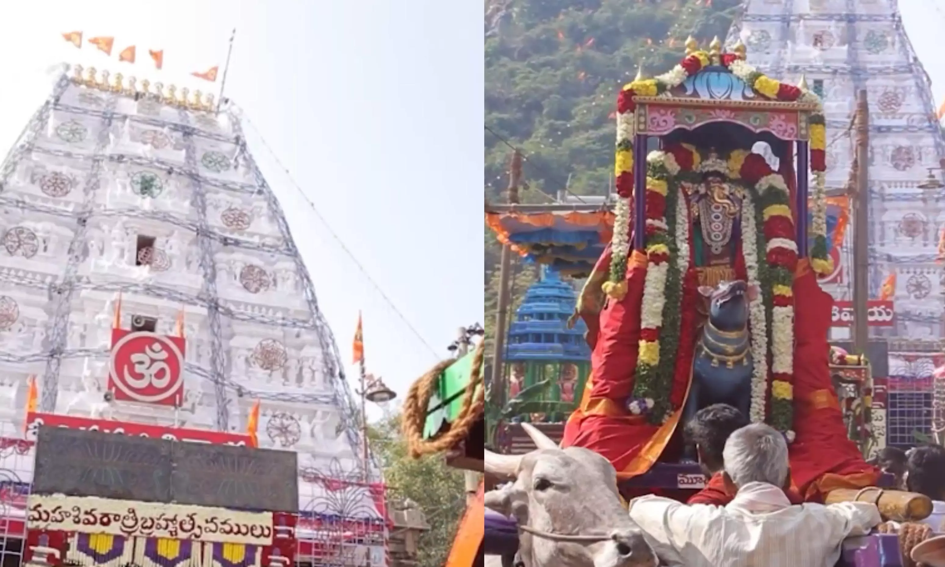 Srikalahasti set for Maha Shivaratri celebrations on February 26