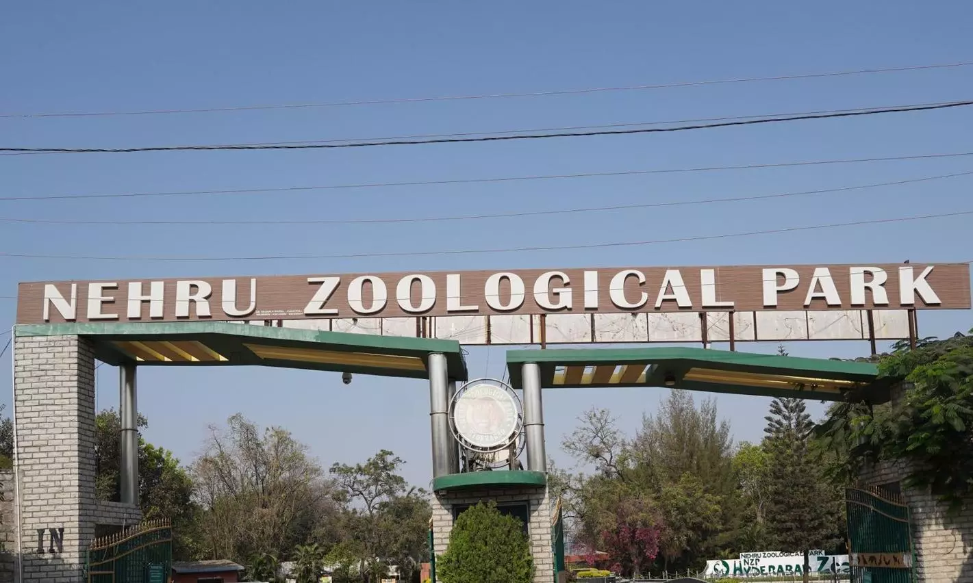 Hyderabad Zoo Increases Entry Fee