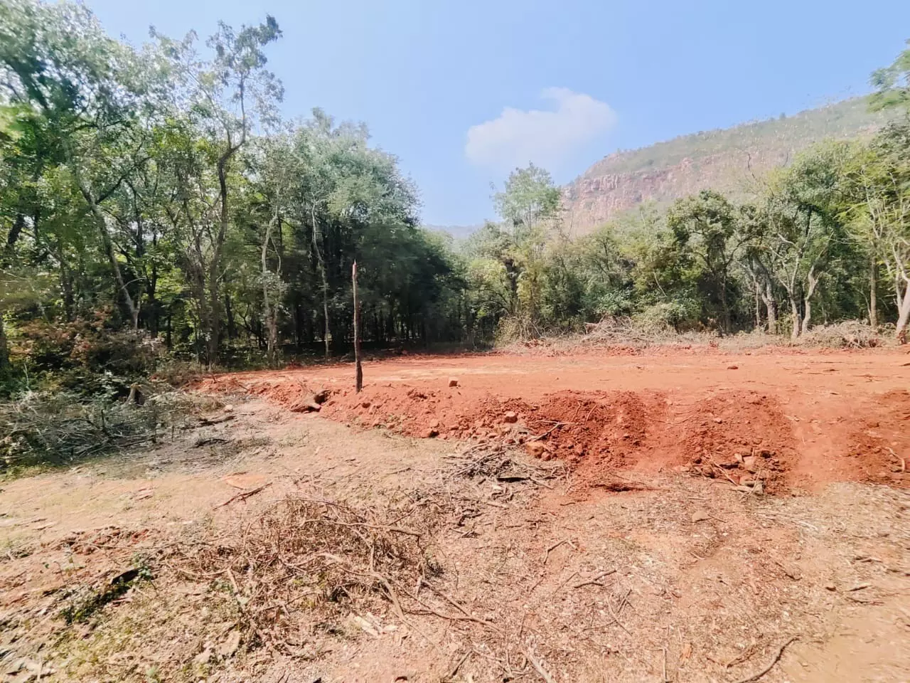 Tirupati Nagaravanam at Crossroad of Conservation, Commercialisation