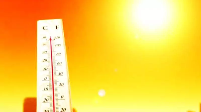 AP’s temperature to be above normal this summer