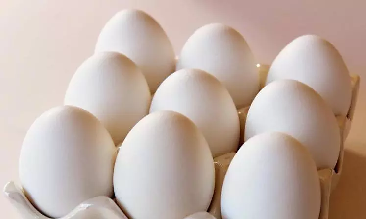 Demand for eggs remain high in Hyderabad