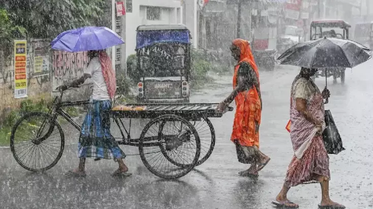 Rain, hailstorm lash parts of Rajasthan; CM orders crop damage survey