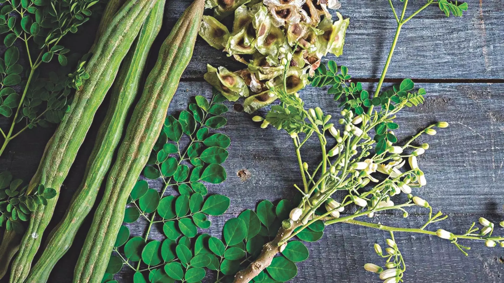 Mouthwatering moringa recipes