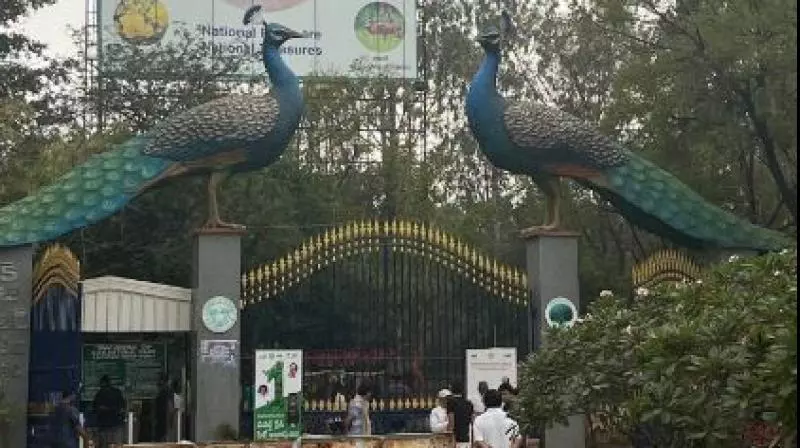 LB Nagar Oxygen Park yet to spring to life