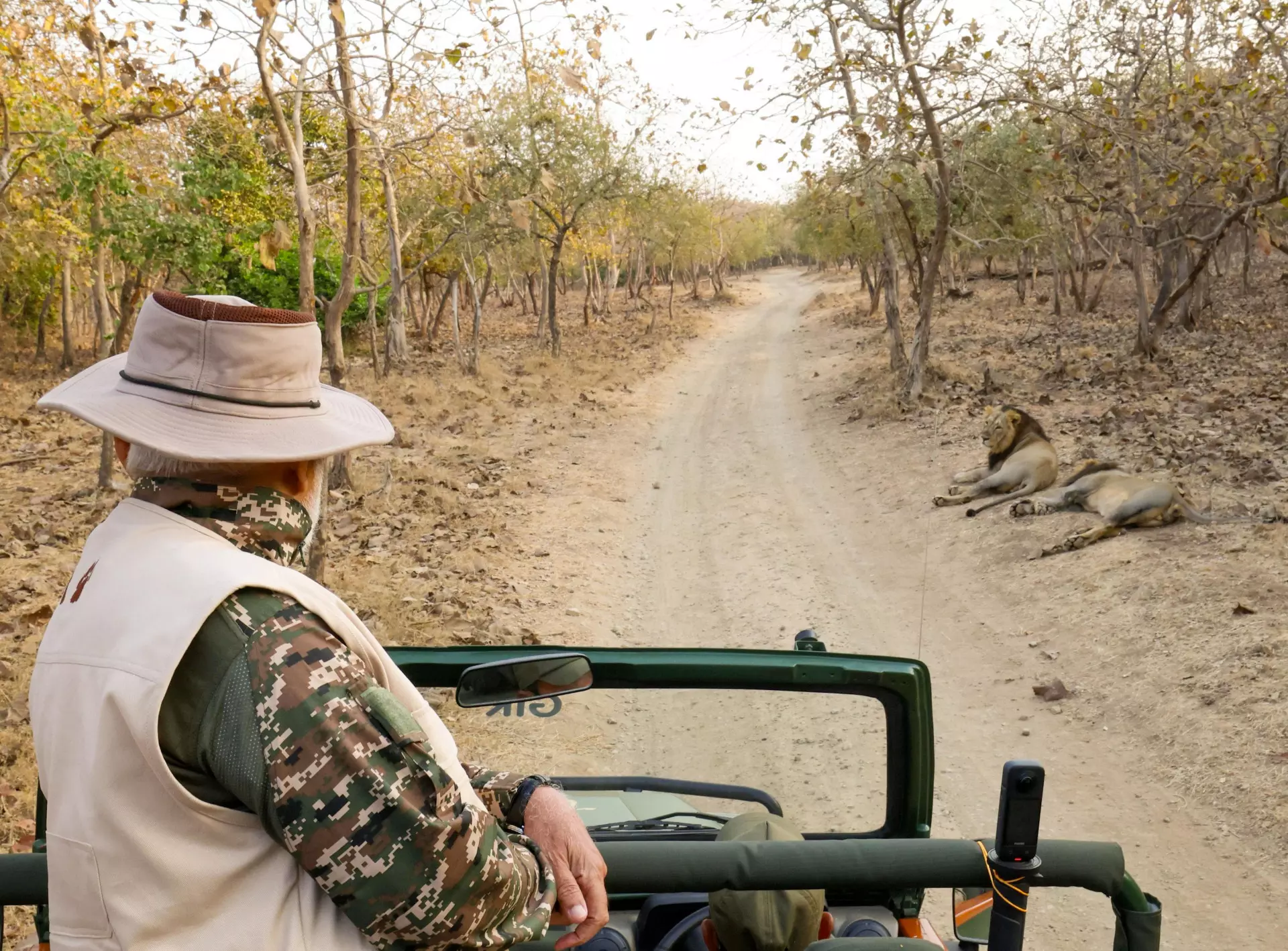 PM Modi Goes on Lion Safari to Gir in Gujarat