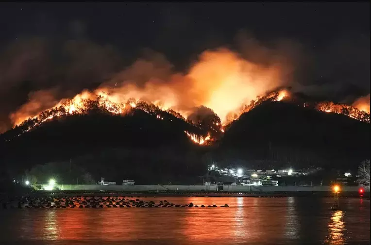 Massive Forest Fire in Japan Destroys Dozens of Homes, Forces Evacuations