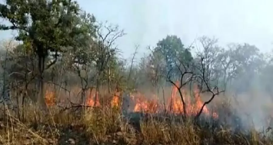 Forest fire spreads near Mahanandi