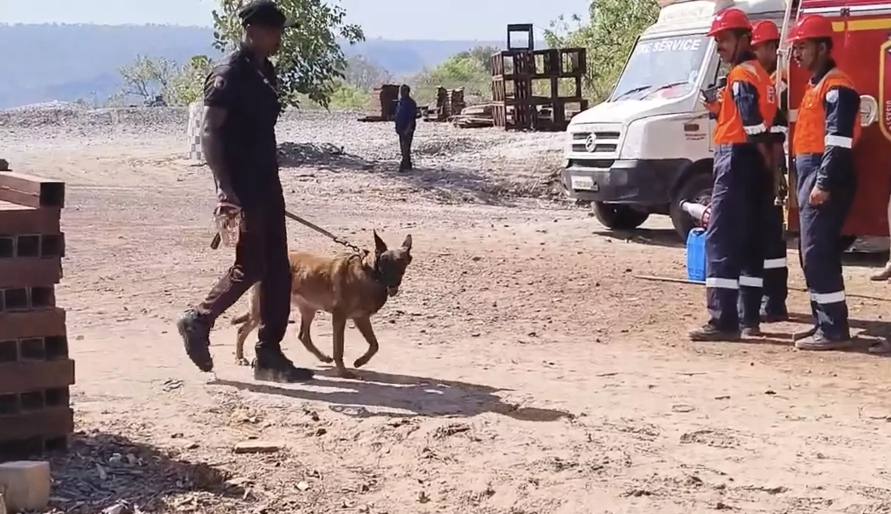 Specially trained dogs from Kerala join SLBC rescue efforts