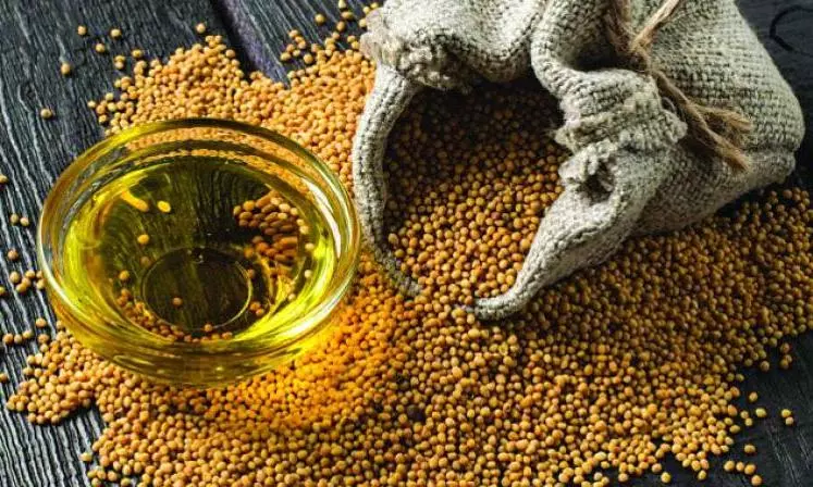 Kennedy and influencers bash seed oils, baffling nutrition scientists