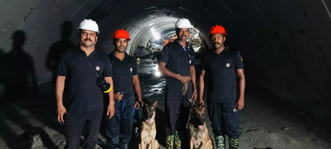 Tunnel rescue hopes now rest on Maya, Murphy