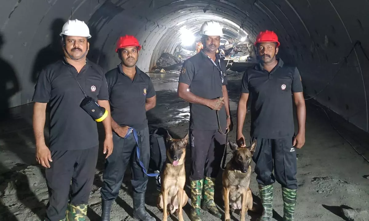 Maya, Murphy & Angel: Kerala Police’s Cadaver Dogs Aid SLBC Tunnel Search