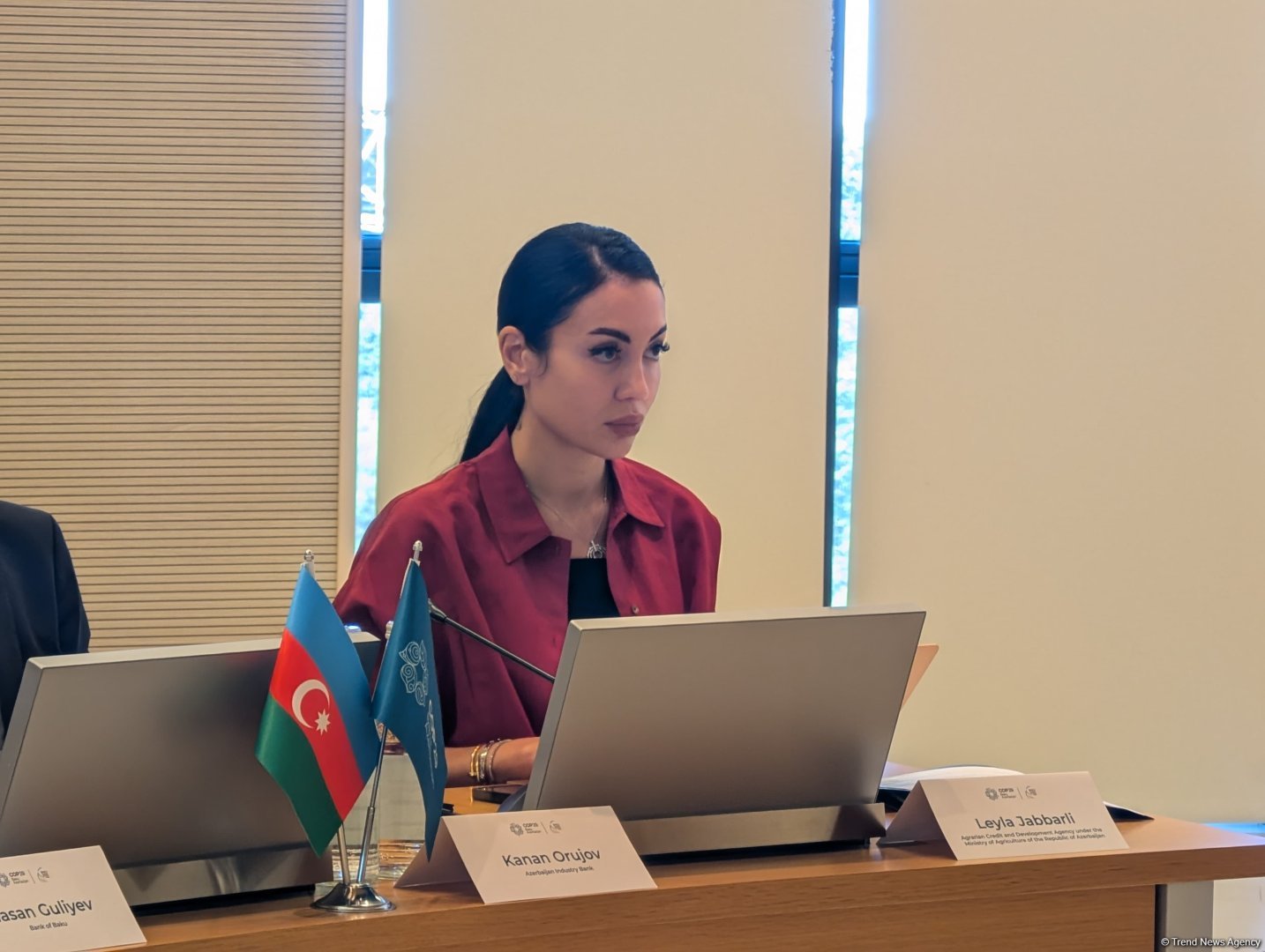 Azerbaijan's Baku Harmoniya Climate Initiative set for COP30 spotlight