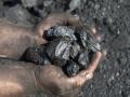 Global demand for coal reaches record high this year