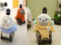 Robotic pets gain popularity in Japan