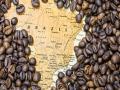 Brazil's coffee stocks are declining